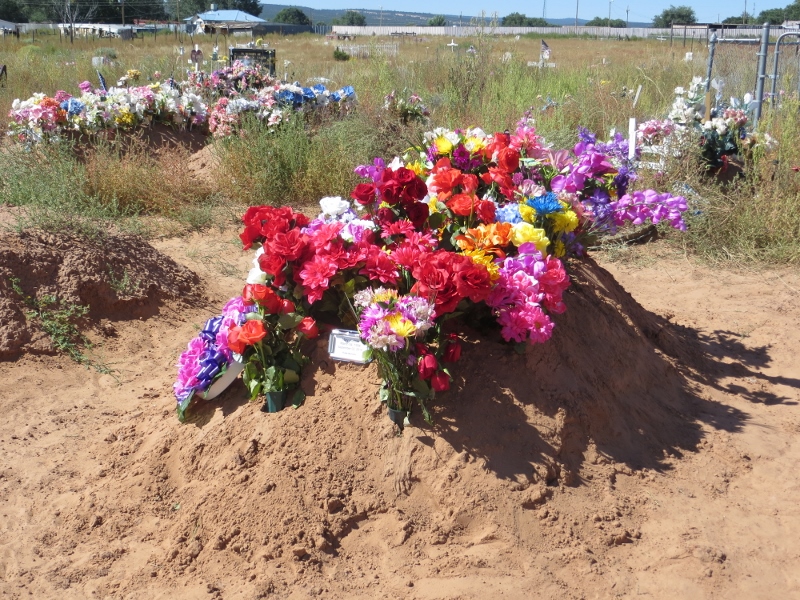 Wandering to a Navajo Rug Auction in Crownpoint, New Mexico Gentle